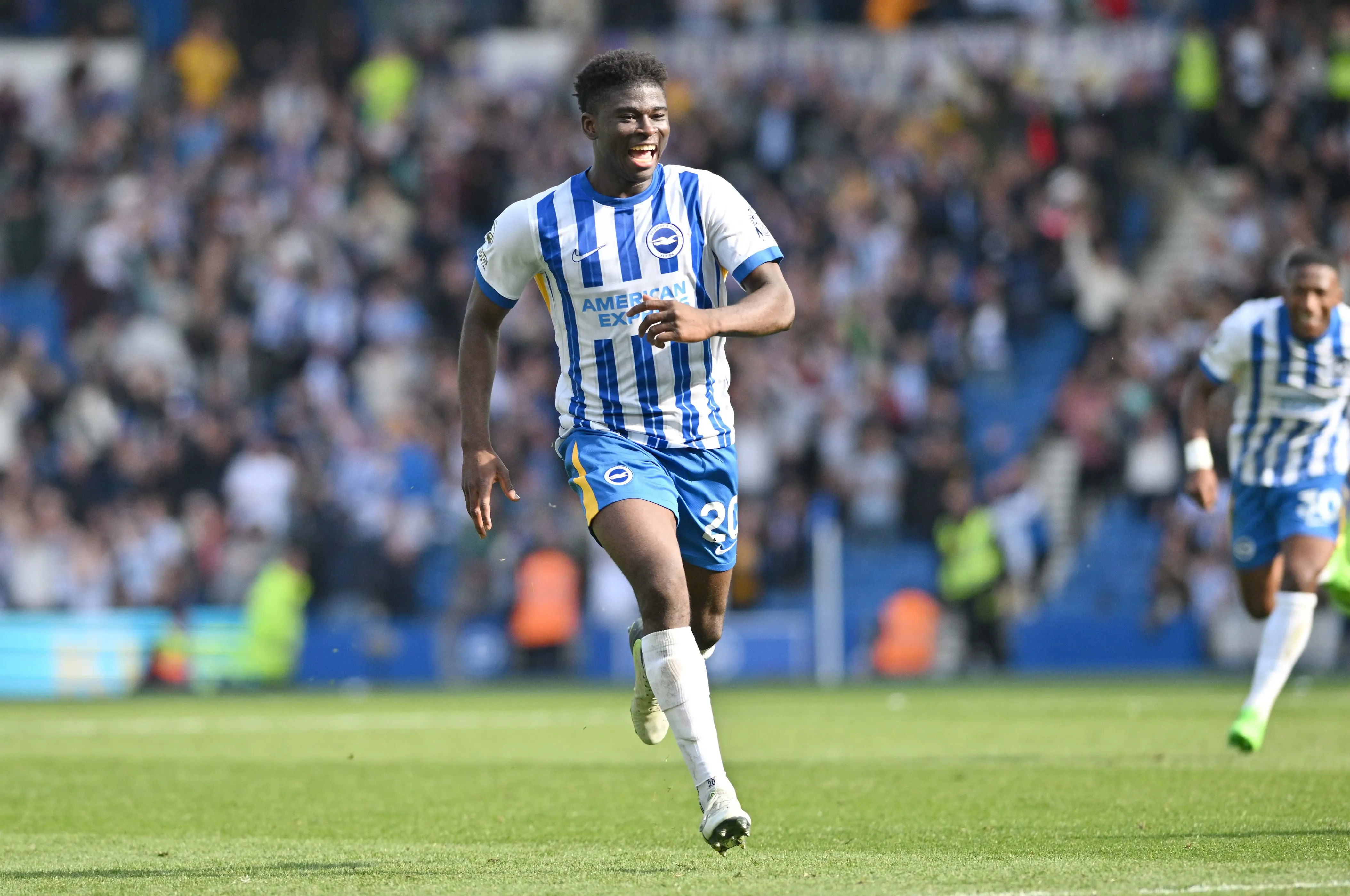 巴的兴趣是 巴的兴趣是