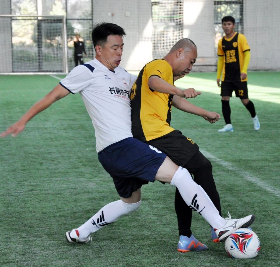 长春市地产, 沉淀, 点燃长春草 长春市地产, 沉淀, 点燃长春草