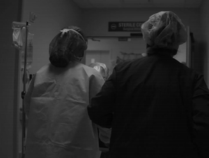 打击, msn, 范弗利特晒 打击, msn, 范弗利特晒